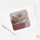 Sticker Carré Kitten Dormir Dans Un Bowl (Enveloppe)