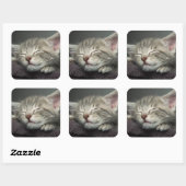 Sticker Carré Kitten endormi (Feuille)