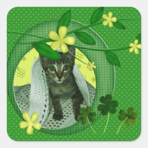 Sticker Carré Kitten, Fleurs, Shamrock & Pois verts