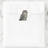 Sticker Carré Kitten persan (2 mois) assis (Sac)