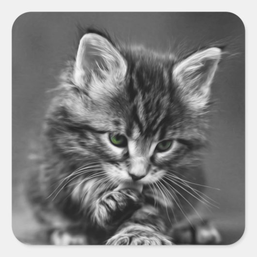 Sticker Carré Kitten vert (Devant)