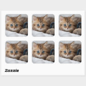Sticker Carré Kitten With Blue Eyes (Feuille)