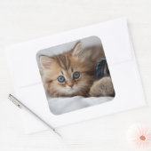 Sticker Carré Kitten With Blue Eyes (Enveloppe)