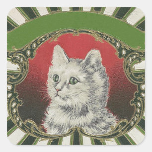 Sticker Carré Kitty