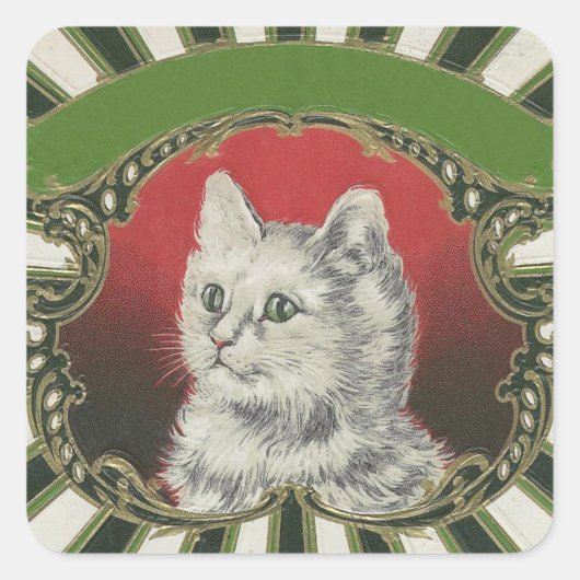 Sticker Carré Kitty (Devant)