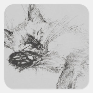 Sticker Carré Kitty 'Baby'