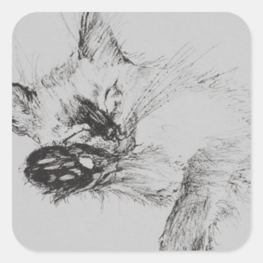 Sticker Carré Kitty 'Baby' (Devant)