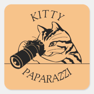 Sticker Carré Kitty Cat Paparazzi - Photographe