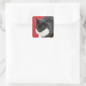 Sticker Carré Kitty pensif (Sac)