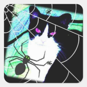 Sticker Carré KittyCatSpiderWeb