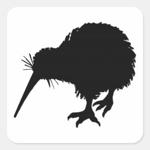 Sticker Carré Kiwi Bird Silhouette