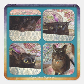 Sticker Carré Kiwi dans une boîte, série 1, quatre images