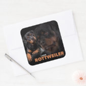 Sticker Carré Kleber - Rottweiler (Enveloppe)
