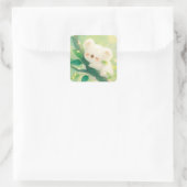 Sticker Carré Koala heureux serrant une branche dans ses bras (Sac)