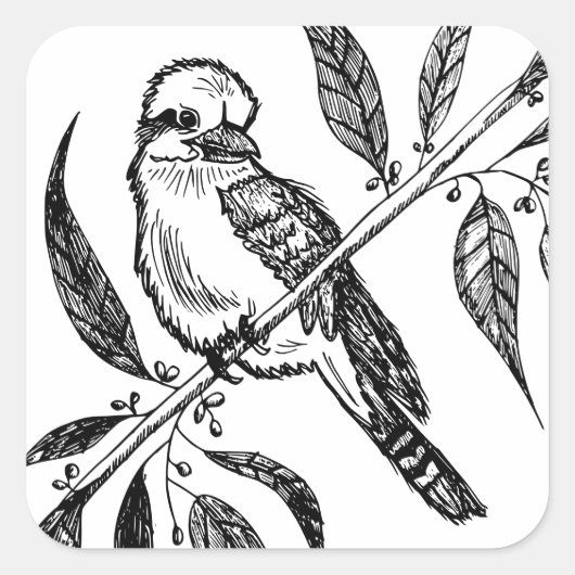 Sticker Carré Kookaburra noir et blanc sur dessin de branche (Devant)