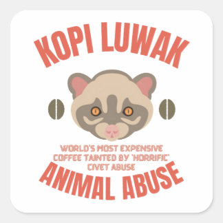 Sticker Carré Kopi Luwak Animal Abus - Luwak Coffee