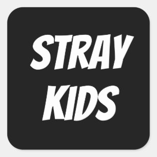 Sticker Carré kpop (Enfants errants)