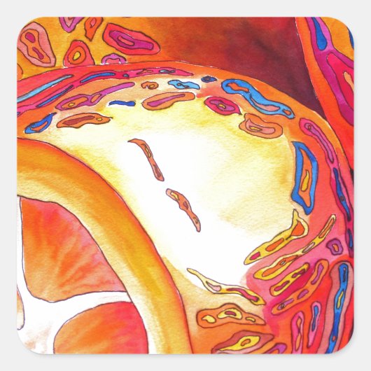 Sticker Carré Kumquats agrumes oranges aquarelles fruits art (Devant)