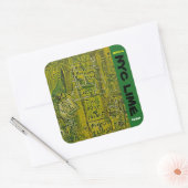 STICKER CARRÉ KUSH CITRON NYC (Enveloppe)