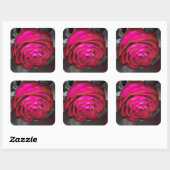 Sticker Carré La Camélia rose (Feuille)