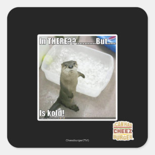 Sticker Carré Là-dedans ? Est Kold !