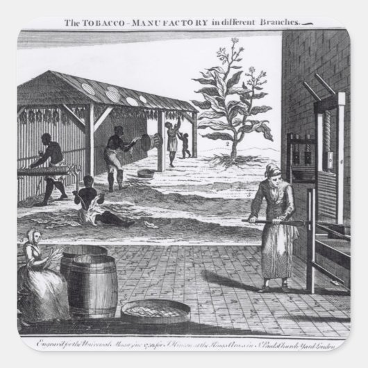 Sticker Carré La manufacture de tabac dans différentes branches (Devant)