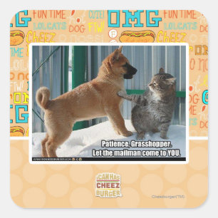 Sticker Carré La patience, sauterelle