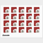 Sticker Carré La patte du chat (Feuille)