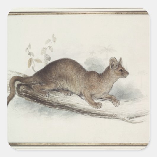 Sticker Carré La Polecat, 19ème siècle (Devant)