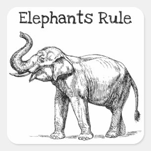 Sticker Carré La règle des éléphants