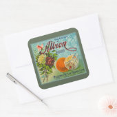 Sticker Carré Label Crabe Albion (Enveloppe)