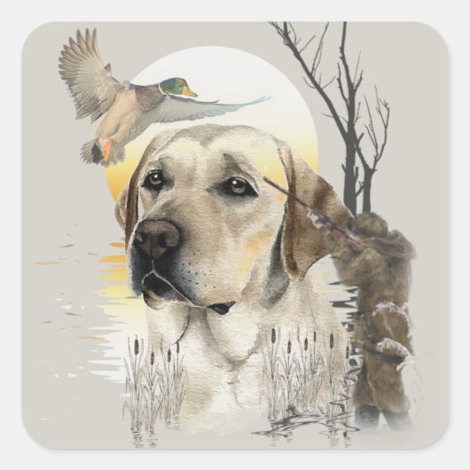 Sticker Carré Labrador, chasse aux canards (Devant)