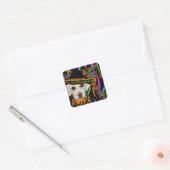 Sticker Carré Labrador Retriever (Enveloppe)