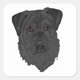 Sticker Carré Labrador Retriever noir