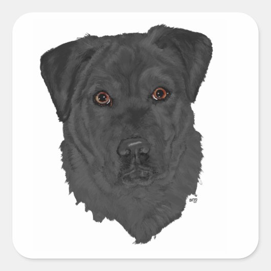 Sticker Carré Labrador Retriever noir (Devant)