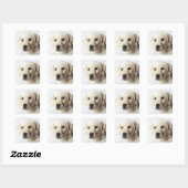 Sticker Carré Labrador Retriever Puppy (Feuille)