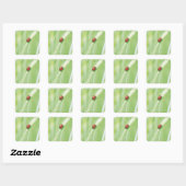 Sticker Carré Ladybug (Feuille)