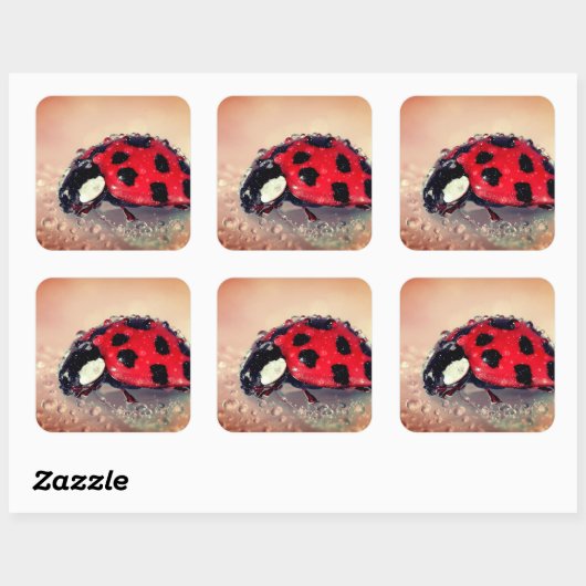 Sticker Carré Ladybug (Feuille)