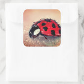 Sticker Carré Ladybug (Sac)