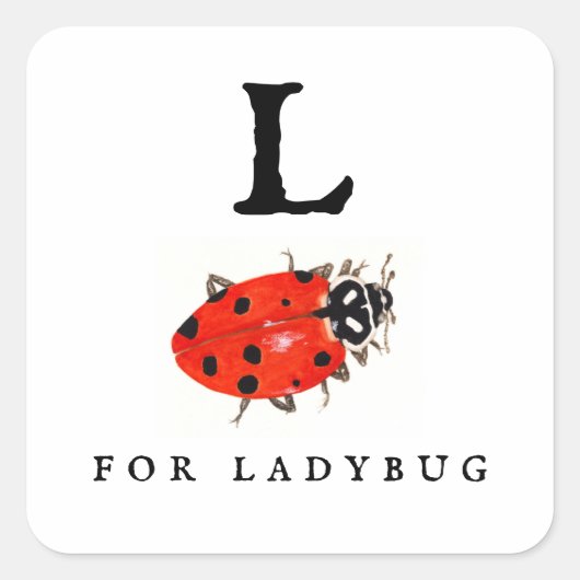 Sticker Carré Ladybug (Devant)