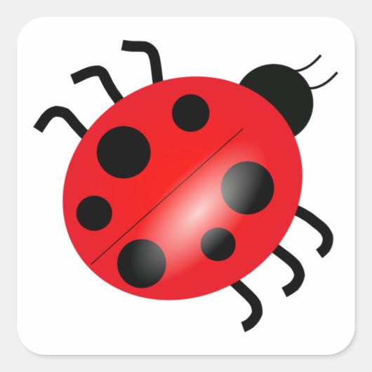 Sticker Carré Ladybug - Ladybird (Devant)