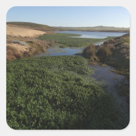 Sticker Carré Lagon d'Abbotts I à Point Reyes National Seashore (Devant)