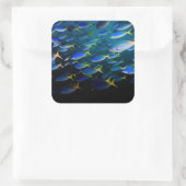 Sticker Carré Laja Ampat Sous-marin 5 (Sac)