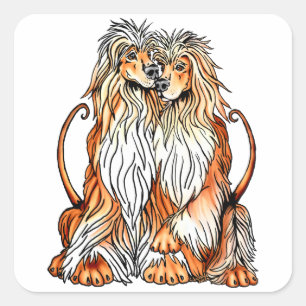 Sticker Carré L'amour des chiots afghans