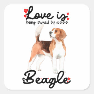 Sticker Carré L'Amour Est La Propriété D'Un Beagle