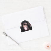 Sticker Carré Langue du chimpanzé (Enveloppe)