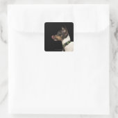 Sticker Carré Langue du Terrier noir et blanc (Sac)