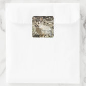 Sticker Carré Lapin à queue de coton R24 (Sac)