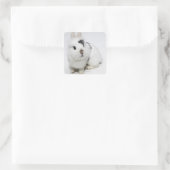 Sticker Carré Lapin blanc, noir et brun (Sac)