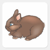 Sticker Carré Lapin Brown (Devant)